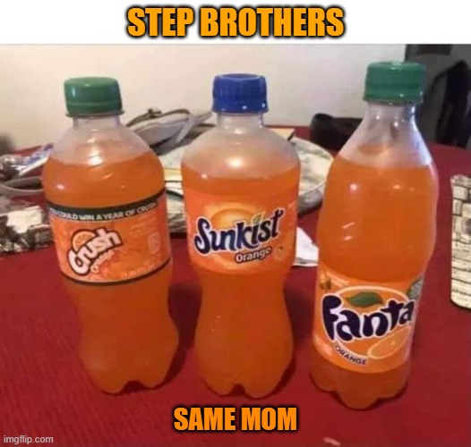 same mom different dads | STEP BROTHERS; SAME MOM | image tagged in orange,soda,funny | made w/ Imgflip meme maker