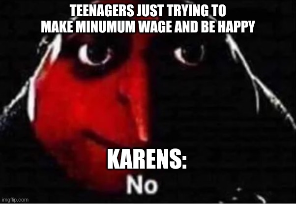 Gru No | TEENAGERS JUST TRYING TO MAKE MINUMUM WAGE AND BE HAPPY; KARENS: | image tagged in gru no | made w/ Imgflip meme maker