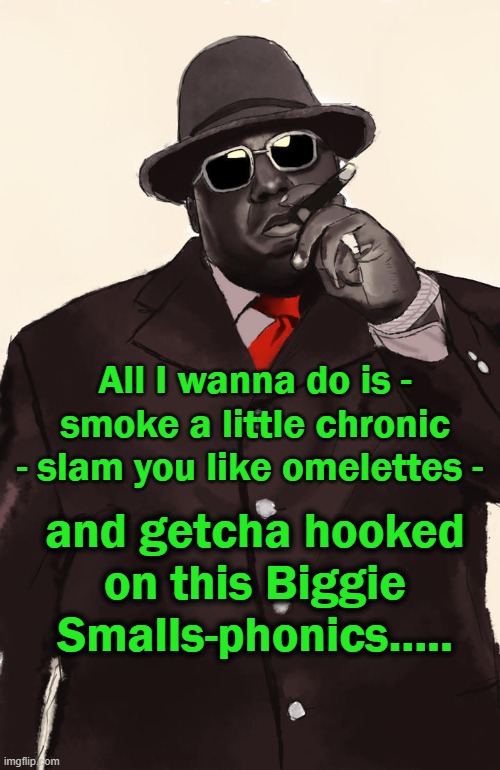 Notorious | All I wanna do is - smoke a little chronic - slam you like omelettes -; and getcha hooked on this Biggie Smalls-phonics..... | image tagged in biggie smalls | made w/ Imgflip meme maker