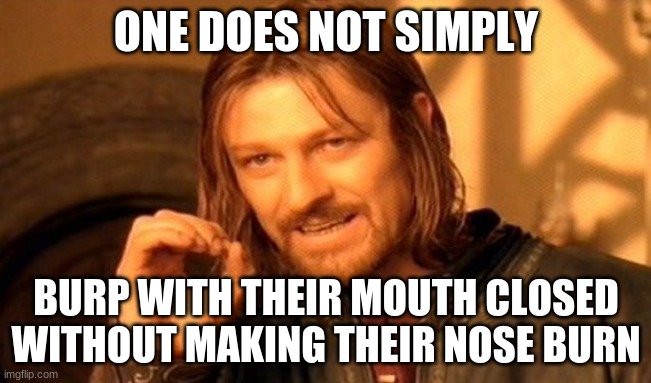 At least after drinking soda, that is. | ONE DOES NOT SIMPLY; BURP WITH THEIR MOUTH CLOSED WITHOUT MAKING THEIR NOSE BURN | image tagged in memes,one does not simply,burp,uncomfortable,so yeah,life problems | made w/ Imgflip meme maker