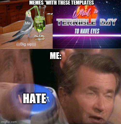 Ironic that I used these templates for my meme | MEMES *WITH THESE TEMPLATES; ME:; HATE | image tagged in invest,unsee juice,what a terrible day to have eyes | made w/ Imgflip meme maker