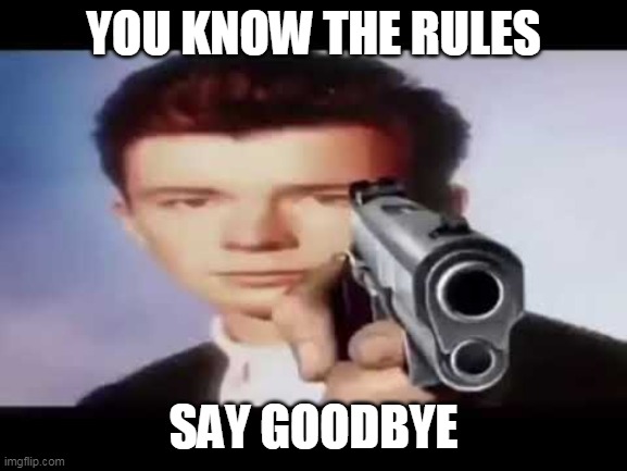 Rick Astley pointing at you | YOU KNOW THE RULES SAY GOODBYE | image tagged in rick astley pointing at you | made w/ Imgflip meme maker