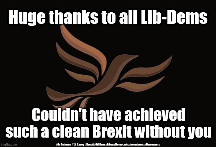 Lib Dem Brexit | Huge thanks to all Lib-Dems; Couldn't have achieved such a clean Brexit without you; #Jo Swinson #Ed Davey #Brexit #LibDem #LiberalDemocrats #remainers #Remoaners | image tagged in the lib dem s,brexit,remain remoan,jo swinson,ed davey,liberal democrats | made w/ Imgflip meme maker