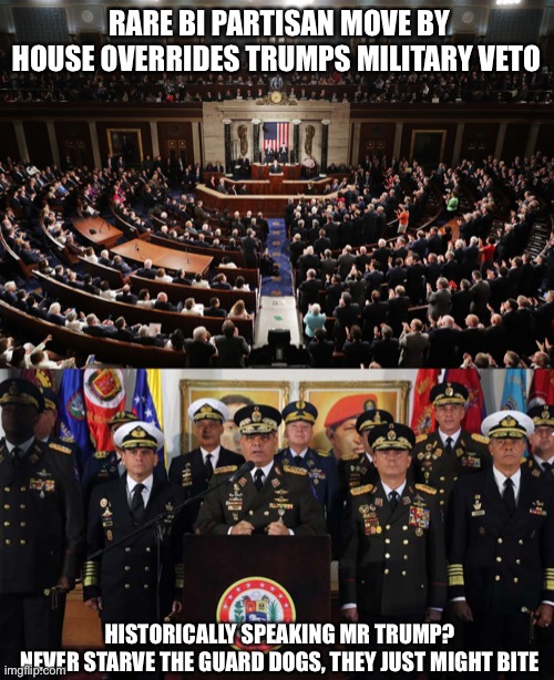 An Army marches on its budget | RARE BI PARTISAN MOVE BY HOUSE OVERRIDES TRUMPS MILITARY VETO; HISTORICALLY SPEAKING MR TRUMP?
NEVER STARVE THE GUARD DOGS, THEY JUST MIGHT BITE | image tagged in donald trump,house,us army,budget cuts,dog,does he bite | made w/ Imgflip meme maker