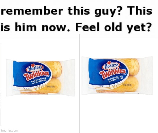 Twinkies never expire | image tagged in remember this guy,food | made w/ Imgflip meme maker