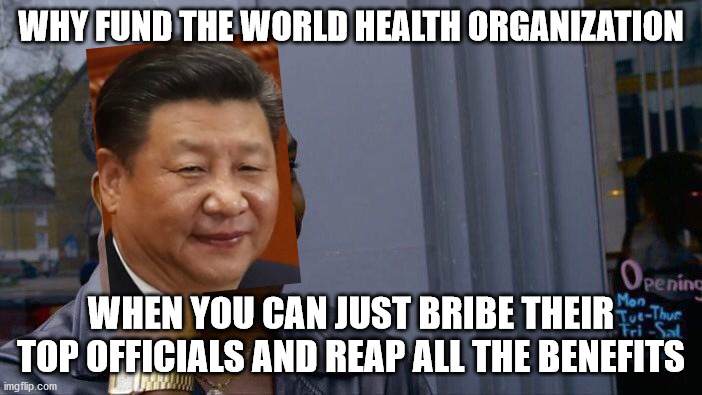 small brains fund organizations, big brains fund their leaders and get even better treatment | WHY FUND THE WORLD HEALTH ORGANIZATION; WHEN YOU CAN JUST BRIBE THEIR TOP OFFICIALS AND REAP ALL THE BENEFITS | image tagged in roll safe think about it,xi jinping,made in china,kung flu,corruption,who | made w/ Imgflip meme maker