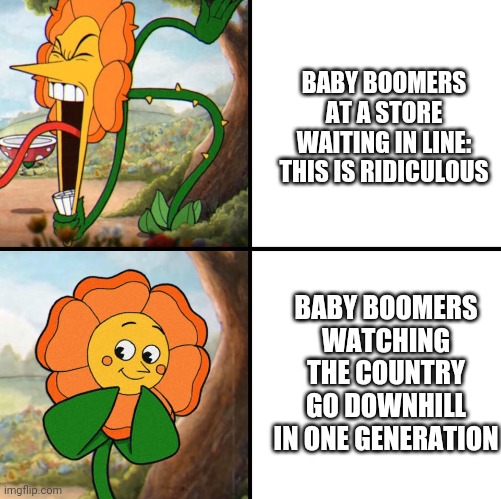 angry flower | BABY BOOMERS

 AT A STORE 
WAITING IN LINE: THIS IS RIDICULOUS; BABY BOOMERS
WATCHING THE COUNTRY GO DOWNHILL IN ONE GENERATION | image tagged in angry flower | made w/ Imgflip meme maker