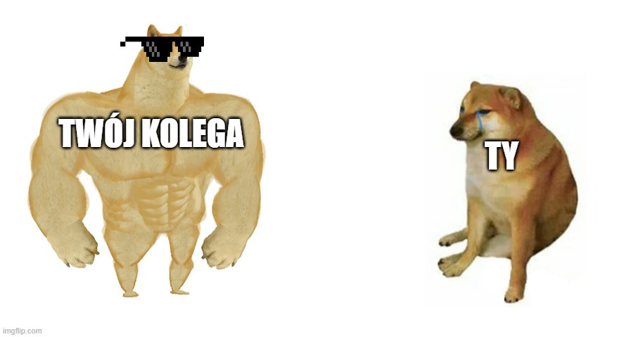 nanana | TWÓJ KOLEGA; TY | image tagged in buff doge vs crying cheems | made w/ Imgflip meme maker
