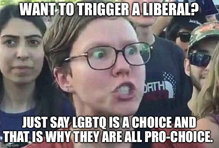 It is easy to trigger a liberal. | WANT TO TRIGGER A LIBERAL? JUST SAY LGBTQ IS A CHOICE AND THAT IS WHY THEY ARE ALL PRO-CHOICE. | image tagged in triggered liberal,pro choice,lgbtq,easy,triggered,typical | made w/ Imgflip meme maker