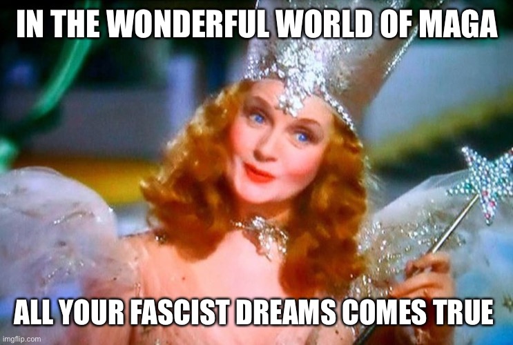 IN THE WONDERFUL WORLD OF MAGA ALL YOUR FASCIST DREAMS COMES TRUE | made w/ Imgflip meme maker