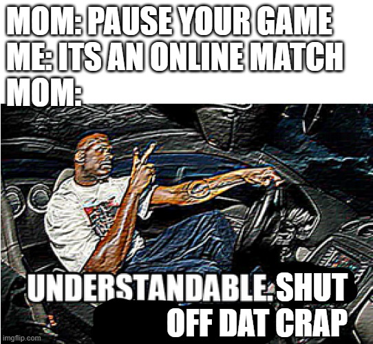 sure we can all relate | MOM: PAUSE YOUR GAME
ME: ITS AN ONLINE MATCH
MOM:; SHUT OFF DAT CRAP | image tagged in understandable have a great day | made w/ Imgflip meme maker