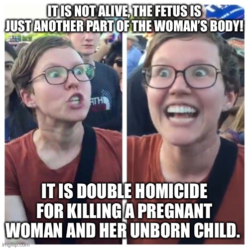 This is called having it both ways. | IT IS NOT ALIVE, THE FETUS IS JUST ANOTHER PART OF THE WOMAN’S BODY! IT IS DOUBLE HOMICIDE FOR KILLING A PREGNANT WOMAN AND HER UNBORN CHILD. | image tagged in hypocrite liberal,abortion,pro choice,leftists,hypocrites,angry feminist | made w/ Imgflip meme maker