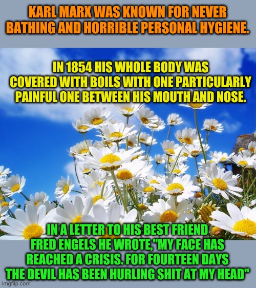 When I think of Karl Marx, this is my favorite image of him......... | KARL MARX WAS KNOWN FOR NEVER BATHING AND HORRIBLE PERSONAL HYGIENE. IN 1854 HIS WHOLE BODY WAS COVERED WITH BOILS WITH ONE PARTICULARLY PAINFUL ONE BETWEEN HIS MOUTH AND NOSE. IN A LETTER TO HIS BEST FRIEND FRED ENGELS HE WROTE,"MY FACE HAS REACHED A CRISIS. FOR FOURTEEN DAYS THE DEVIL HAS BEEN HURLING SHIT AT MY HEAD" | image tagged in spring daisy flowers | made w/ Imgflip meme maker