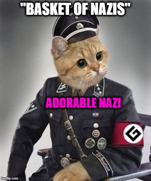 Grammar Nazi Cat | "BASKET OF NAZIS" ADORABLE NAZI | image tagged in grammar nazi cat | made w/ Imgflip meme maker