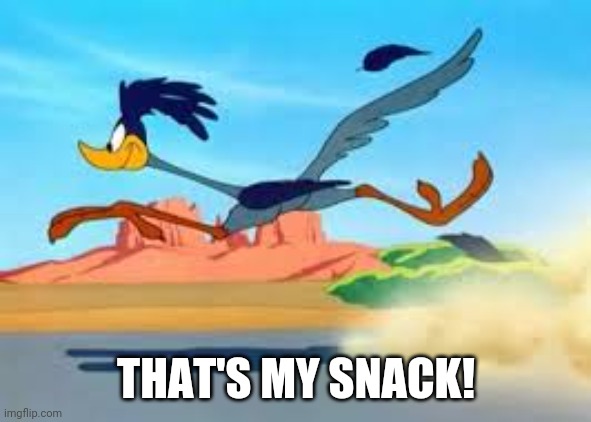 road runner | THAT'S MY SNACK! | image tagged in road runner | made w/ Imgflip meme maker