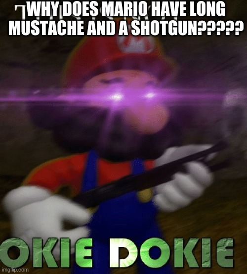 Just why | WHY DOES MARIO HAVE LONG MUSTACHE AND A SHOTGUN????? | image tagged in not okie dokie | made w/ Imgflip meme maker