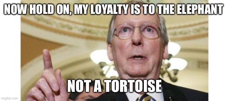 Mitch McConnell Meme | NOW HOLD ON, MY LOYALTY IS TO THE ELEPHANT NOT A TORTOISE | image tagged in memes,mitch mcconnell | made w/ Imgflip meme maker