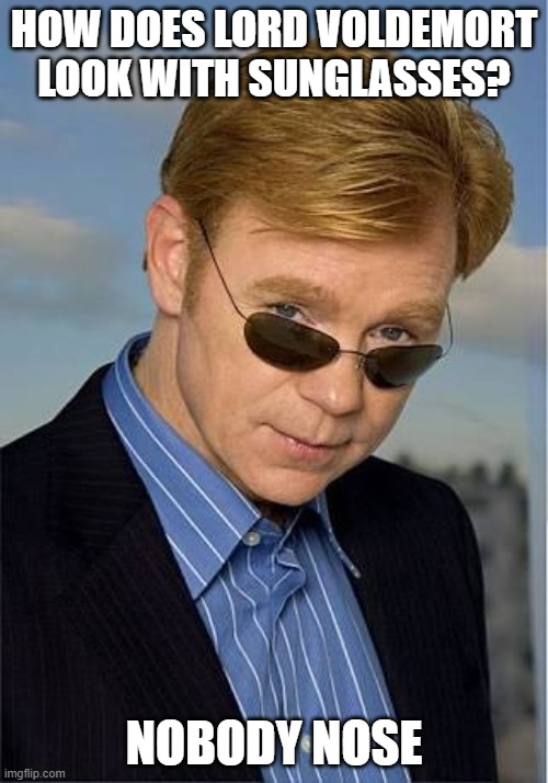 bad Pun David Caruso | HOW DOES LORD VOLDEMORT LOOK WITH SUNGLASSES? NOBODY NOSE | image tagged in bad pun david caruso | made w/ Imgflip meme maker