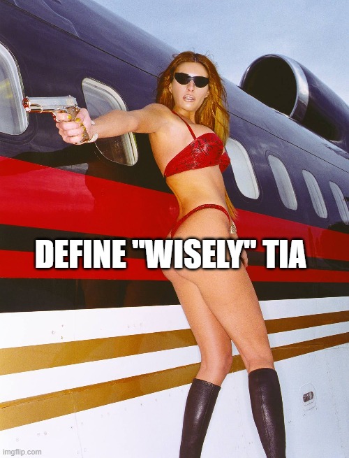 DEFINE "WISELY" TIA | made w/ Imgflip meme maker