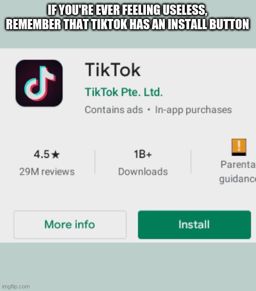 lmao | IF YOU'RE EVER FEELING USELESS, REMEMBER THAT TIKTOK HAS AN INSTALL BUTTON | image tagged in tiktok sucks | made w/ Imgflip meme maker