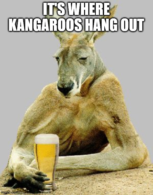 Cool Kangaroo | IT'S WHERE KANGAROOS HANG OUT | image tagged in cool kangaroo | made w/ Imgflip meme maker