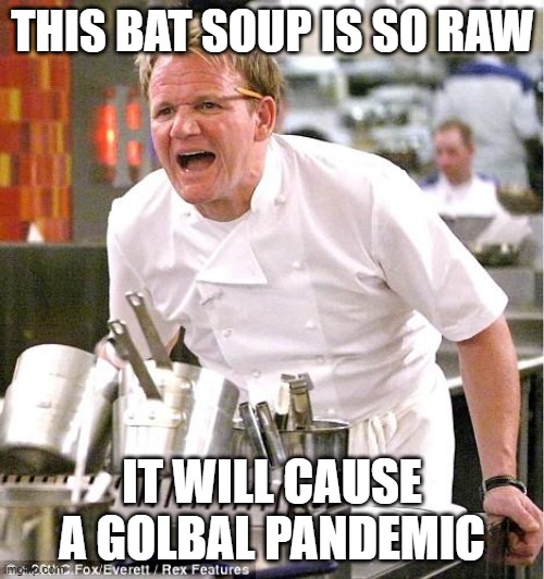Bat soup | THIS BAT SOUP IS SO RAW; IT WILL CAUSE A GOLBAL PANDEMIC | image tagged in memes,chef gordon ramsay,coronavirus,corona virus,coronavirus meme | made w/ Imgflip meme maker