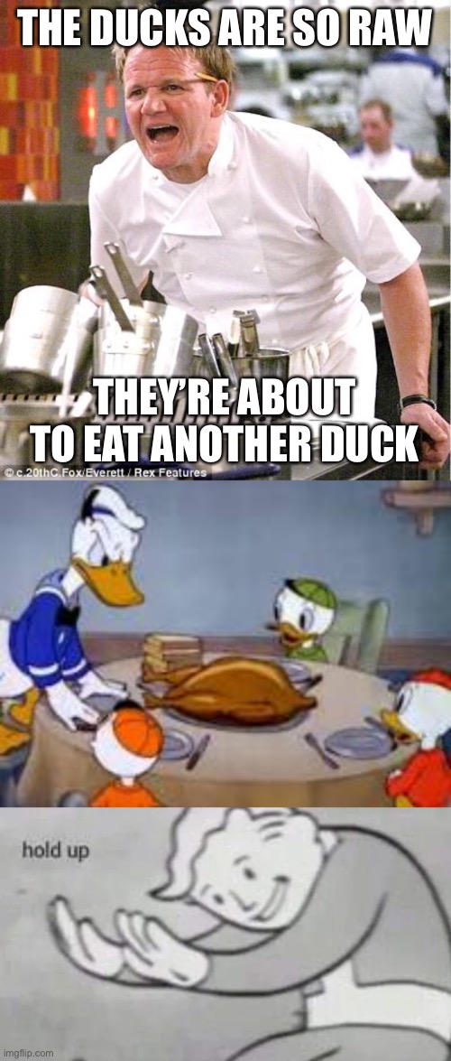 THE DUCKS ARE SO RAW; THEY’RE ABOUT TO EAT ANOTHER DUCK | image tagged in memes,chef gordon ramsay | made w/ Imgflip meme maker