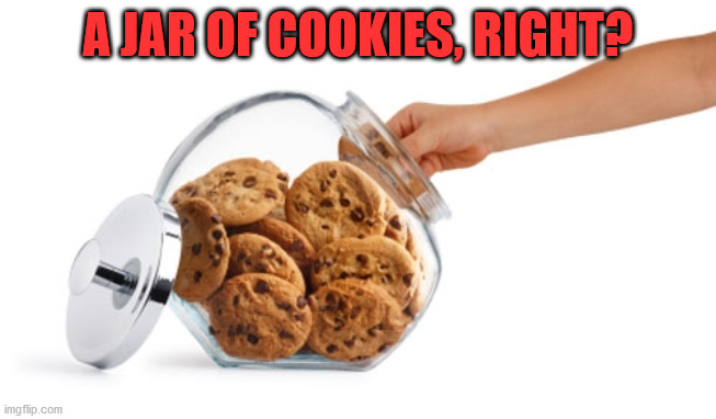 Cookie jar | A JAR OF COOKIES, RIGHT? | image tagged in cookie jar | made w/ Imgflip meme maker