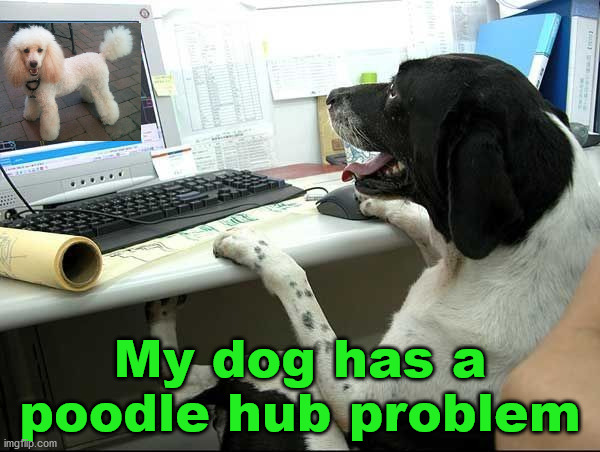 My dog has a poodle hub problem | made w/ Imgflip meme maker