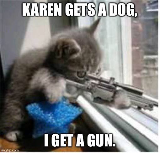cats with guns | KAREN GETS A DOG, I GET A GUN. | image tagged in cats with guns | made w/ Imgflip meme maker