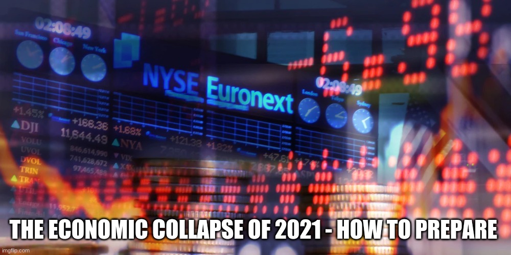 THE ECONOMIC COLLAPSE OF 2021 - HOW TO PREPARE | image tagged in survival,economy | made w/ Imgflip meme maker