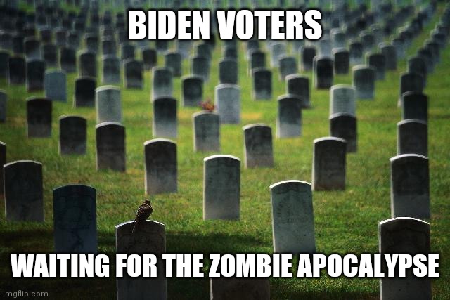 graveyard cemetary | BIDEN VOTERS WAITING FOR THE ZOMBIE APOCALYPSE | image tagged in graveyard cemetary | made w/ Imgflip meme maker