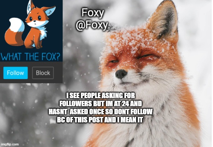 Foxy's announcement template | I SEE PEOPLE ASKING FOR FOLLOWERS BUT IM AT 24 AND HASNT  ASKED ONCE SO DONT FOLLOW BC OF THIS POST AND I MEAN IT | image tagged in foxy's announcement template | made w/ Imgflip meme maker