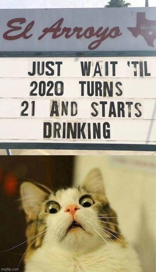 And We Thought It Could Get No Worse... | image tagged in memes,scared cat,2020 sucks,2021,the future,seriously wtf | made w/ Imgflip meme maker