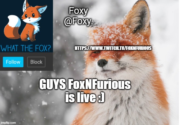 Foxy's announcement template | HTTPS://WWW.TWITCH.TV/FOXNFURIOUS; GUYS FoxNFurious is live :) | image tagged in foxy's announcement template | made w/ Imgflip meme maker