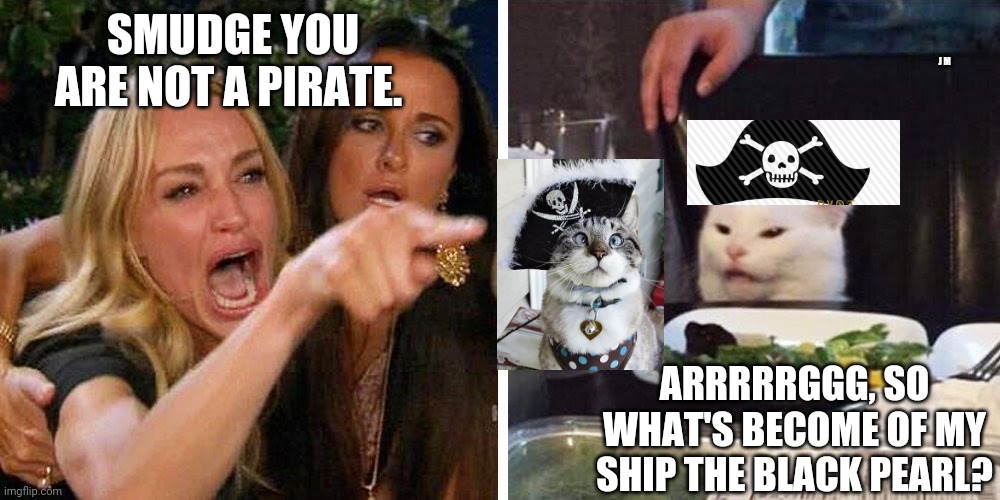 Smudge the cat | J M; SMUDGE YOU ARE NOT A PIRATE. ARRRRRGGG, SO WHAT'S BECOME OF MY SHIP THE BLACK PEARL? | image tagged in smudge the cat | made w/ Imgflip meme maker
