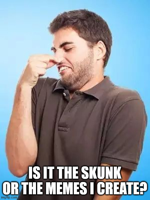 That's Stinky Man | IS IT THE SKUNK OR THE MEMES I CREATE? | image tagged in that's stinky man | made w/ Imgflip meme maker