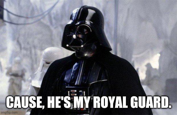 Darth Vader | CAUSE, HE'S MY ROYAL GUARD. | image tagged in darth vader | made w/ Imgflip meme maker