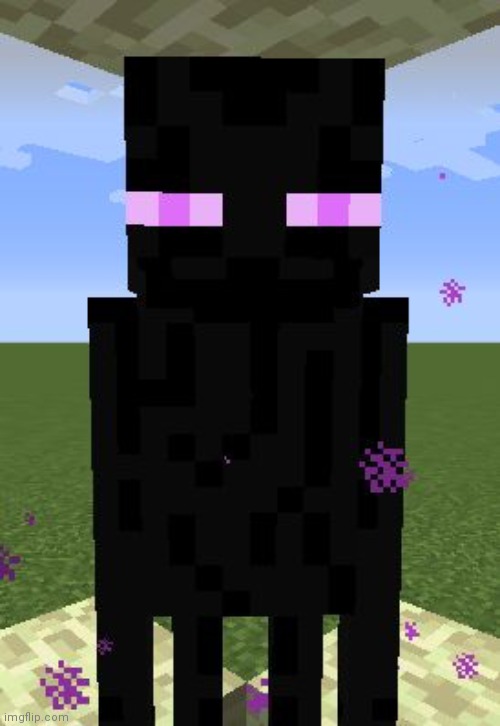 ▪︎_▪︎ | image tagged in enderman | made w/ Imgflip meme maker