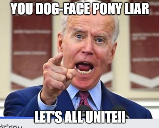 Joe Biden no malarkey | YOU DOG-FACE PONY LIAR; LET'S ALL UNITE!! | image tagged in joe biden no malarkey | made w/ Imgflip meme maker