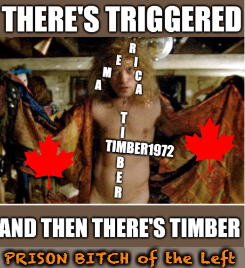 Timber1972 bitch Blank Meme Template