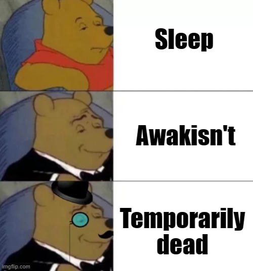 perfect term! | Sleep; Awakisn't; Temporarily dead | image tagged in fancy pooh | made w/ Imgflip meme maker