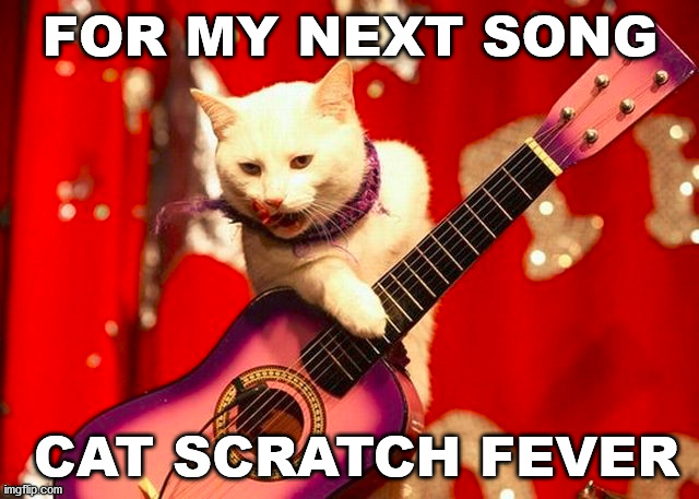 FOR MY NEXT SONG; CAT SCRATCH FEVER | image tagged in cats | made w/ Imgflip meme maker