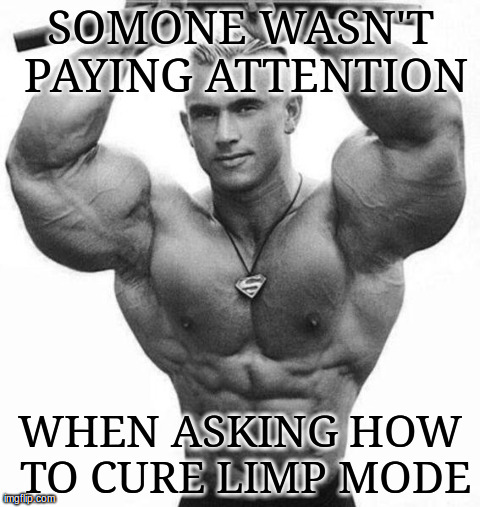 SOMONE WASN'T PAYING ATTENTION WHEN ASKING HOW TO CURE LIMP MODE | image tagged in bodybuilderyuck | made w/ Imgflip meme maker