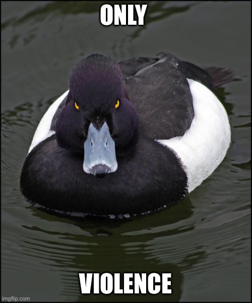 Angry duck | ONLY VIOLENCE | image tagged in angry duck | made w/ Imgflip meme maker