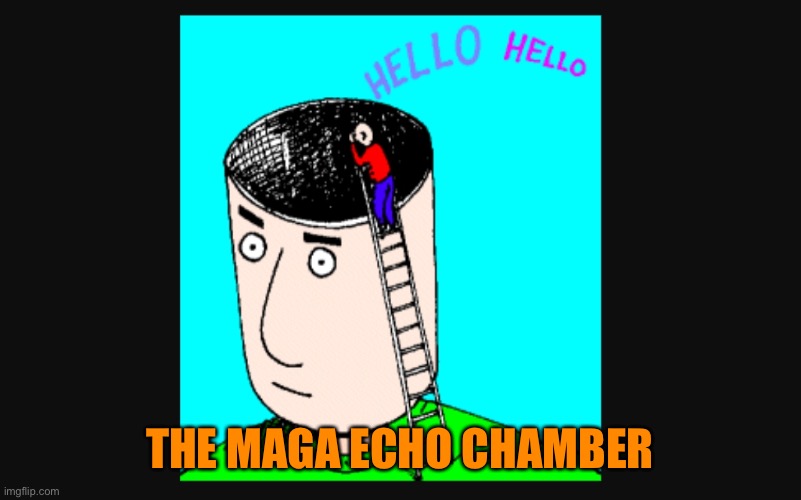 Echo chamber | THE MAGA ECHO CHAMBER | image tagged in echo chamber | made w/ Imgflip meme maker