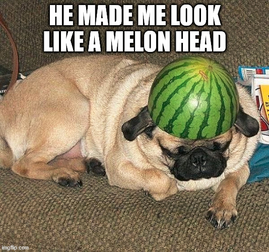 HE MADE ME LOOK LIKE A MELON HEAD | made w/ Imgflip meme maker