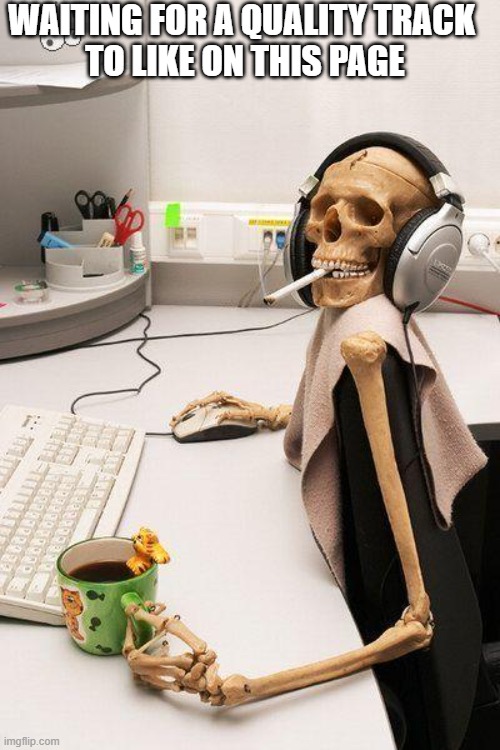 waiting for a quality track | WAITING FOR A QUALITY TRACK 
TO LIKE ON THIS PAGE | image tagged in skull computer,quality,like | made w/ Imgflip meme maker