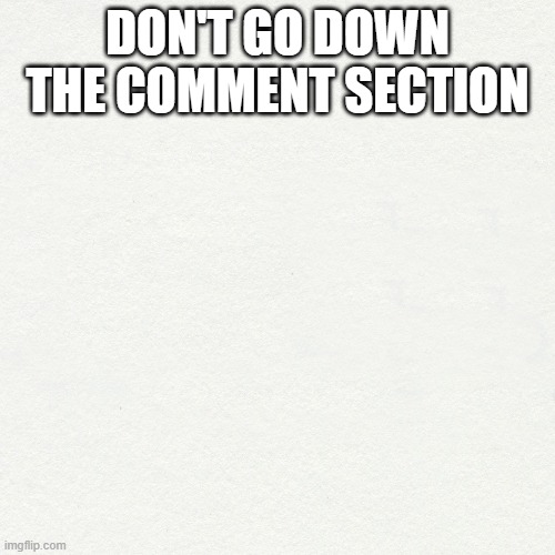 don't click this image | DON'T GO DOWN THE COMMENT SECTION | image tagged in white | made w/ Imgflip meme maker