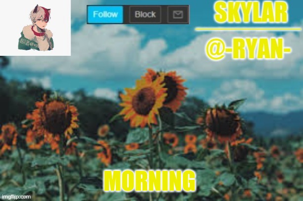 Ryan's announcement template | MORNING | image tagged in ryan's announcement template | made w/ Imgflip meme maker